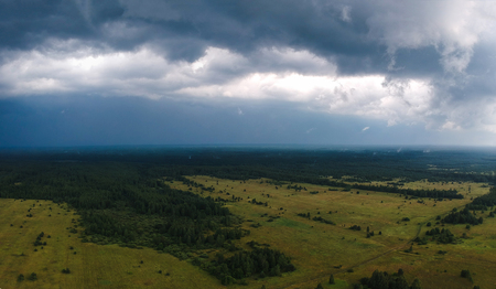 Huge forest from the height of summerの写真素材