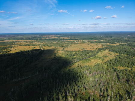 View of the burned forest from a heightの写真素材