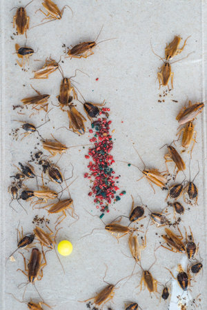 Macro photo of trapped cockroaches