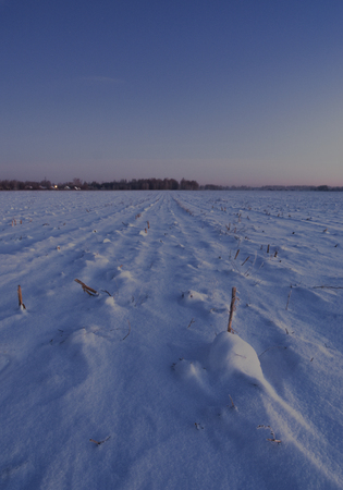 Winter, frosty morning in the village before dawn in the field.の写真素材