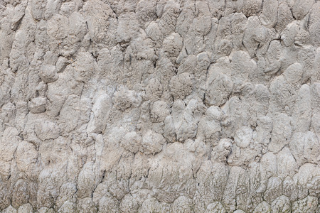 The texture of the concrete foundation stuccoの写真素材