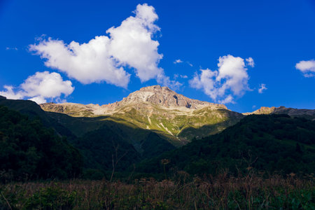 Peaks of mountains in the neighborhood of Dombai. Caucasus Mountains summer, clear day from the forest.の写真素材