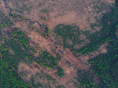 River in the forest from the height of the quadcopter in the springの写真素材