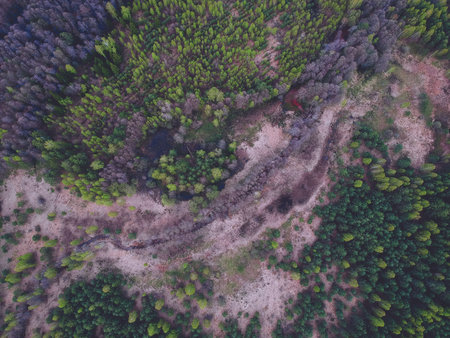 River in the forest from the height of the quadcopter in the spring