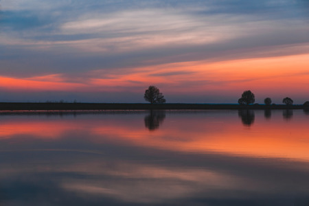 Lonely tree on the background of the most beautiful, scarlet sunset over the river in the springの写真素材