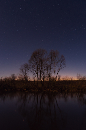 Tree by the river starry night in the moonlightの写真素材