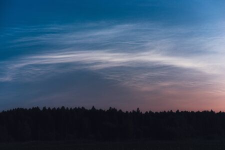Noctilucent clouds on a summer night above the forestの写真素材