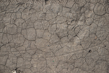 The texture of the cracks on the dry land during a drought