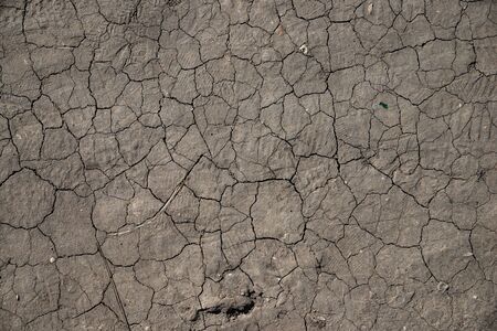The texture of the cracks on the dry land during a droughtの写真素材