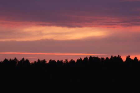 Scarlet sky at sunset over the forest with beautiful cloudsの写真素材