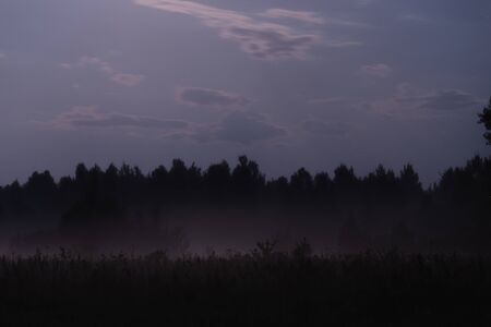 Night fog in the field by the forest moonlit summer nightの写真素材