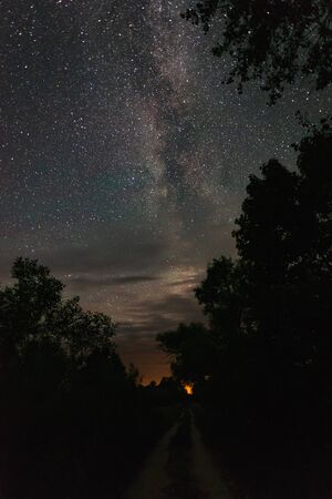 Road in the countryside summer starry night among the trees.の写真素材