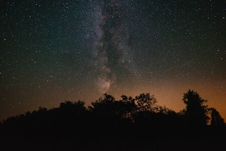 Night sky with milky way over the forest summer nightの写真素材