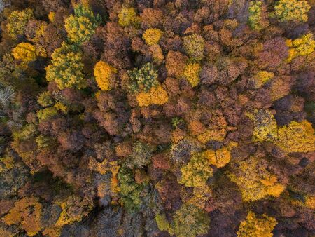 Aerial view: Autumn forest from a height with orange, green and yellow leaves.の写真素材
