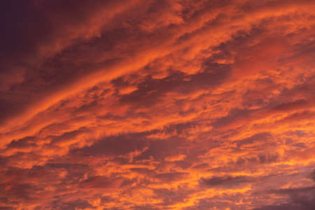 Pink clouds close up at sunset in the eveningの写真素材