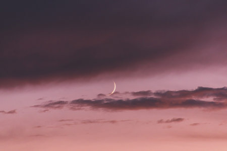 New moon moon among pink clouds at sunset.