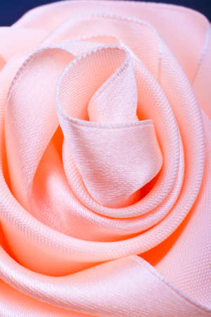Satin peach-colored roseの写真素材