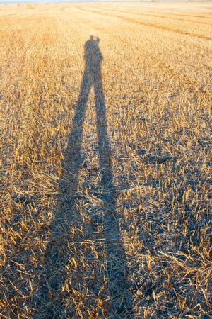 Shadow of couple on beach