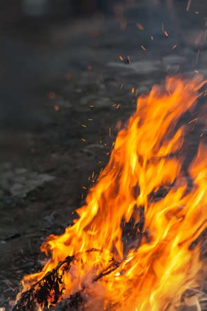 bonfireの写真素材