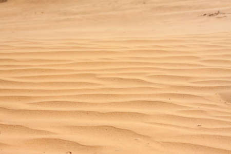 Whimsical wavy patterns desert sand closeupの写真素材