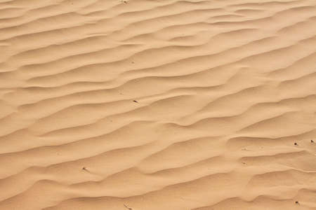 Whimsical wavy patterns desert sand closeupの写真素材