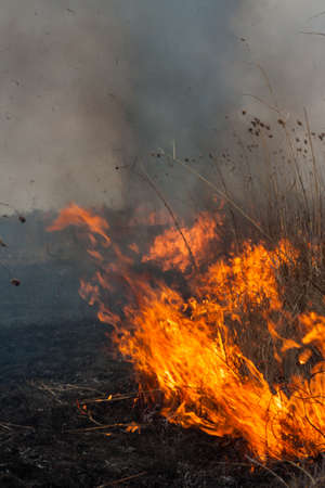 Burning in the dry last year's grassの写真素材