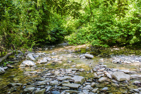 Quiet mountain river slowly flowing in a mountain forestの写真素材