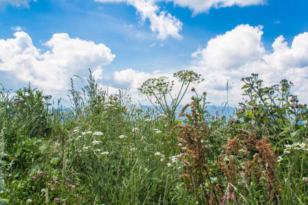 A photo of the landscape views from the pass Gum-Bashi in the mountains of the North Caucasusの写真素材