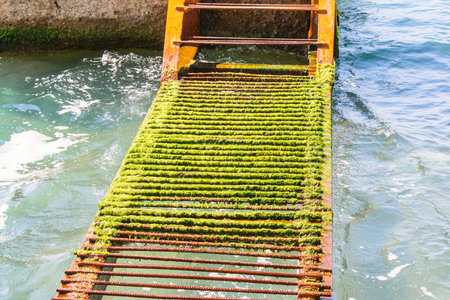A rusty ladder covered with algae in the seaの写真素材