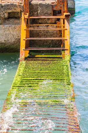 A rusty ladder covered with algae in the seaの写真素材