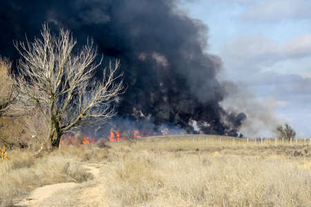 The fire in the autumn steppe dry reeds burns with black smokeの写真素材