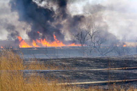 Fire in the autumn steppeの写真素材