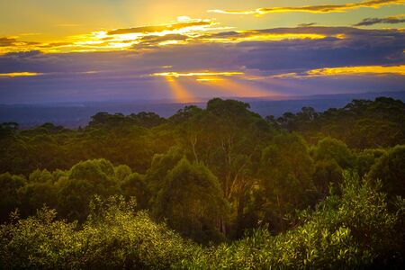 Sunset on Mount Annan. Australiaの写真素材
