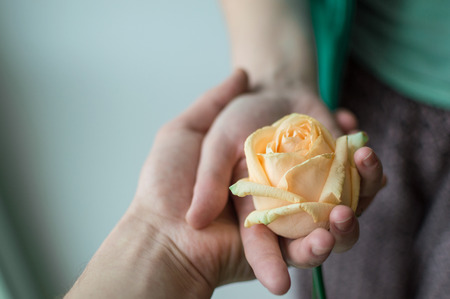 Male hand holding the female hand that holding the rose flower. Relations concept.の写真素材