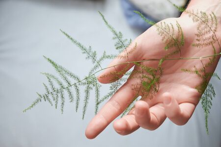 Female arm touching very thin and small plant branch. Concept of the environment protection, care, greenhouse effect.の写真素材