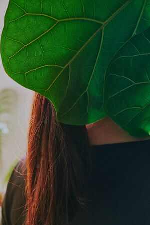 Female standing behind the huge exotic house plant leave. Concept of the environment protection, care, greenhouse effect.の写真素材