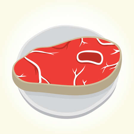 Ugly steak on a plate isolated vectorのイラスト素材