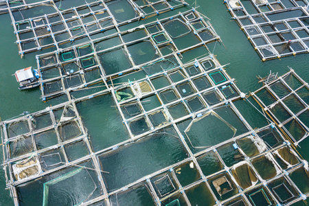Aerial: Fish Farm Pond. Bali, Indonesia.