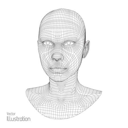 Head of the Person from a 3d Grid. Human Head Wire Model. Human Polygon Head. Face Scanning. View of Human Head. 3D Geometric Face Design. 3d Polygonal Skin.のイラスト素材