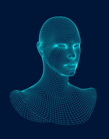 3d head wireframe vector. Drawing of wireframe head 3d model.のイラスト素材