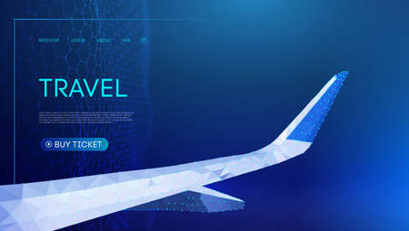 Plane low poly 3d vector illustration. Low polygon. Night sky background, technology vector illustration. Travel vector line art.の写真素材