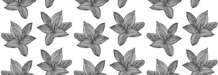 Floral vector background black and white. Linear lily flower line seamless pattern for textile design. Vector seamless black and white flower pattern.のイラスト素材