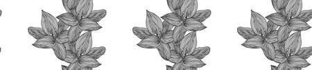 Floral vector background black and white. Linear lily flower line seamless pattern for textile design. Vector seamless black and white flower pattern.のイラスト素材