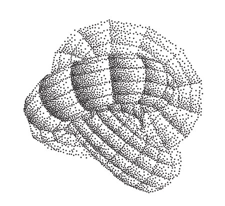 Monochrome Stippled Spiral Shell Artworkのイラスト素材