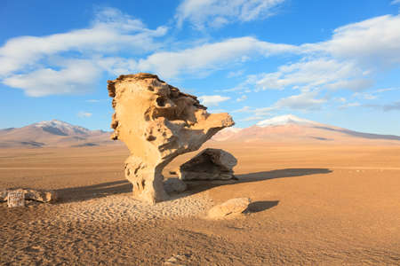 Rock formation Arbol de Piedra in desert of Boliviaの写真素材