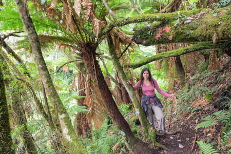Woman hiking through lush green jungle in Bolivia