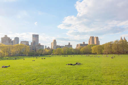 New York central park at sunny dayの写真素材
