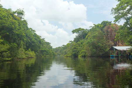 River flows in the rainforestの写真素材