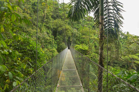 Suspended bridge at natural rainforest park Costa Ricaの写真素材
