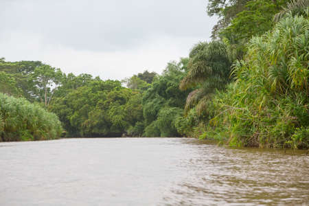 River flows in the rainforest of Costa Ricaの写真素材